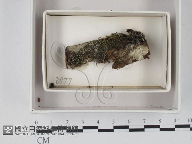 登錄號:F0018080藏品圖，第1張