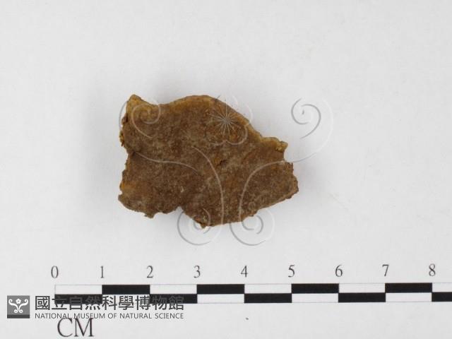 登錄號:F0026080藏品圖，第1張