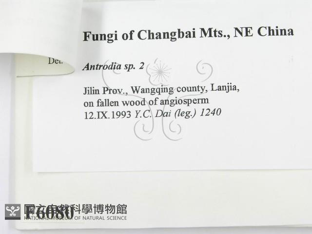 登錄號:F0006080藏品圖，第3張