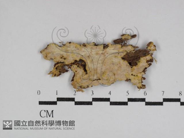 登錄號:F0031080藏品圖，第1張