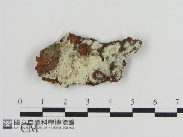 登錄號:F0017080藏品圖，第1張