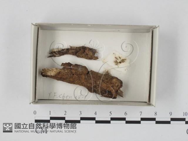 登錄號:F0018380藏品圖，第1張