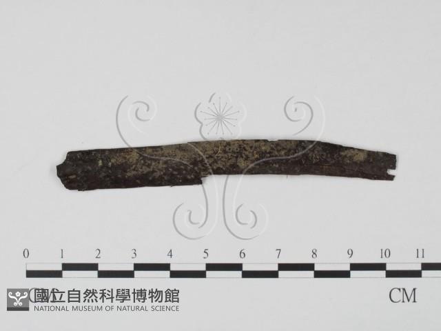 登錄號:F0010380藏品圖，第1張