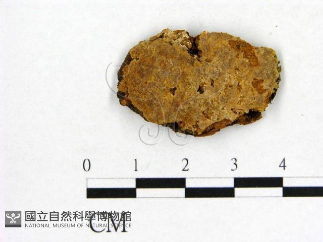 登錄號:F0009380藏品圖，第1張