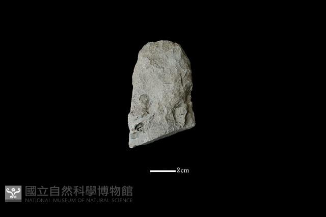 斧鋤形器藏品圖，第2張