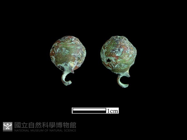 鈕子藏品圖，第2張