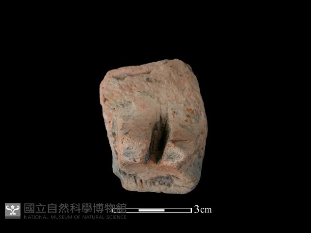 陶罐藏品圖，第2張