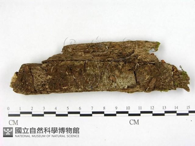 登錄號:F0005126藏品圖，第1張