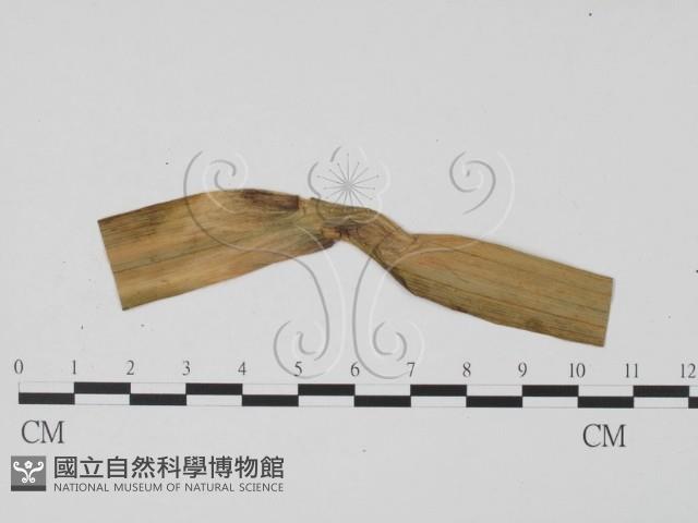 登錄號:F0009326藏品圖，第1張