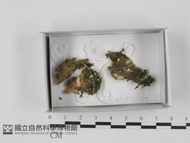 登錄號:F0018406藏品圖，第1張