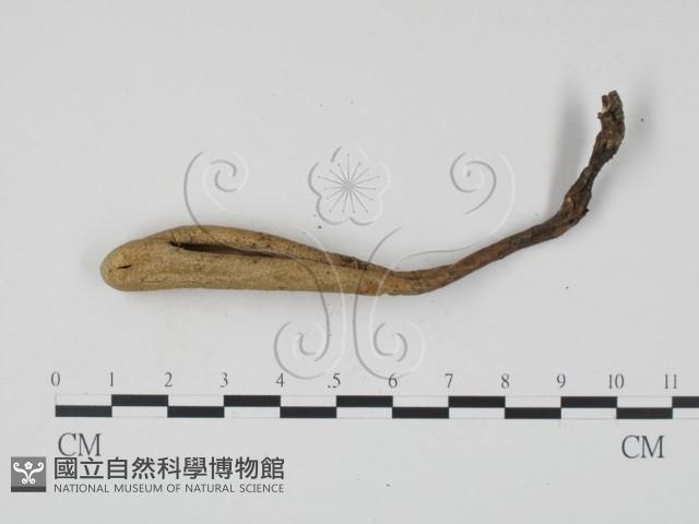 登錄號:F0005406藏品圖，第1張