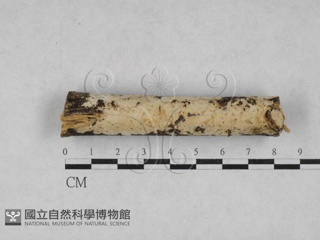登錄號:F0028106藏品圖，第1張