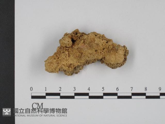 登錄號:F0004106藏品圖，第3張