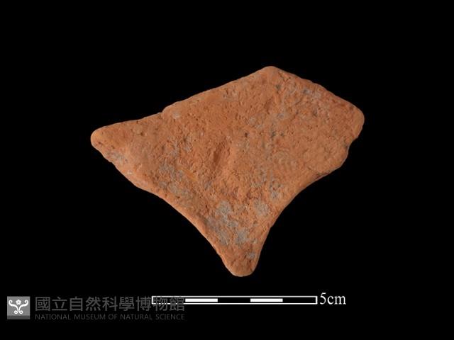 連杯形器藏品圖，第1張