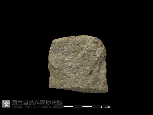 斧鋤形器藏品圖，第2張