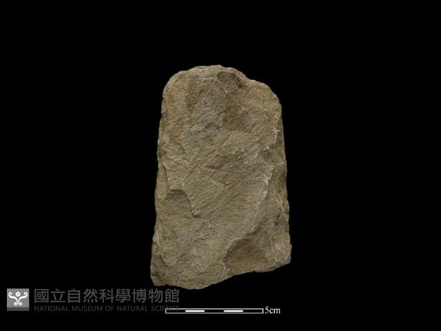 斧鋤形器藏品圖，第2張