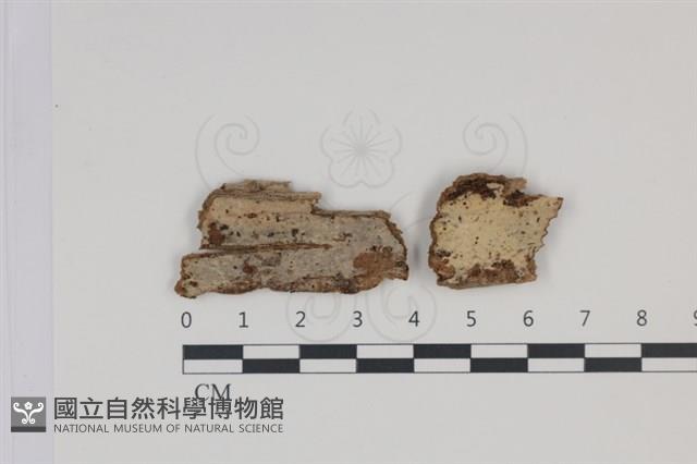登錄號:F0035006藏品圖，第1張