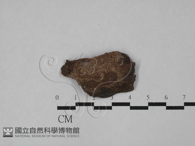 登錄號:F0029006藏品圖，第1張
