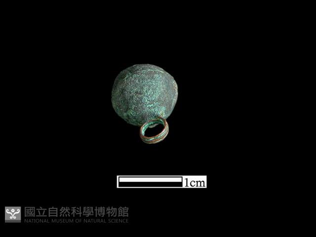 鈕子藏品圖，第2張