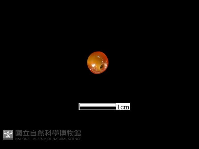 瑪瑙珠藏品圖，第1張