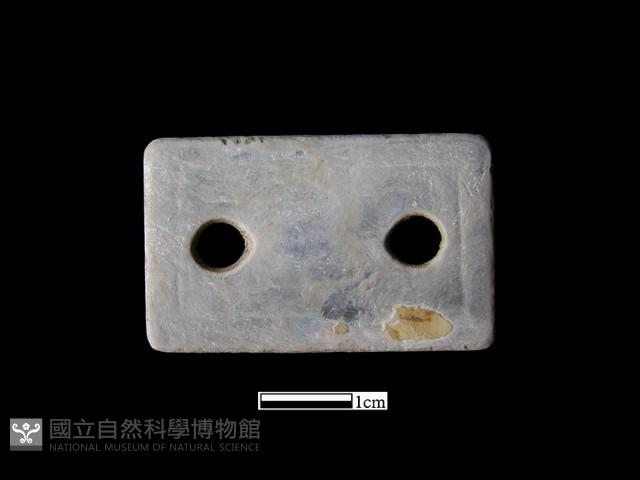 貝飾藏品圖，第1張