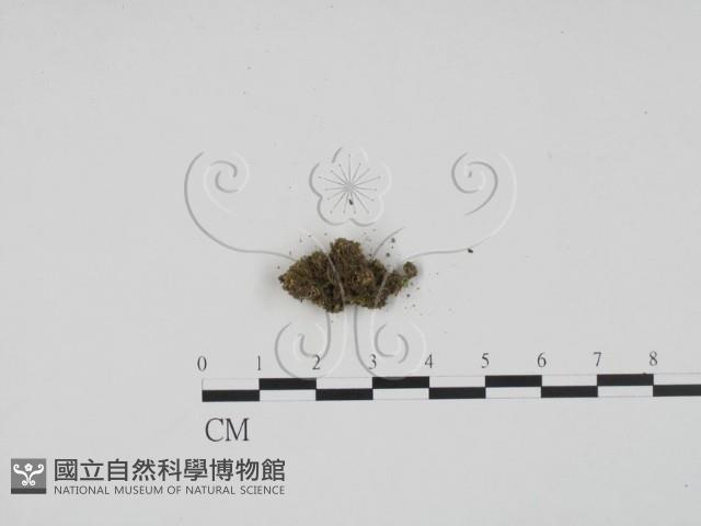 登錄號:F0001306藏品圖，第1張