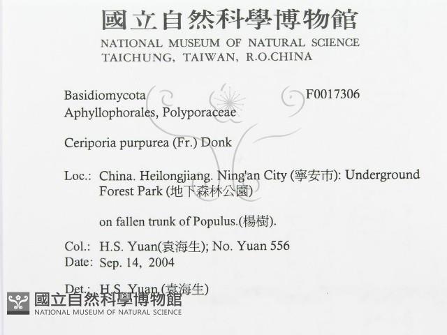 登錄號:F0017306藏品圖，第3張