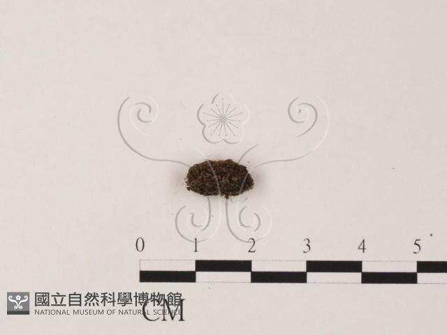 登錄號:F0005306藏品圖，第1張