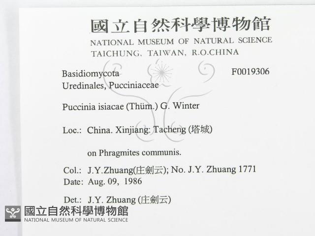 登錄號:F0019306藏品圖，第3張