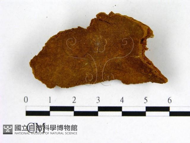 登錄號:F0014116藏品圖，第1張