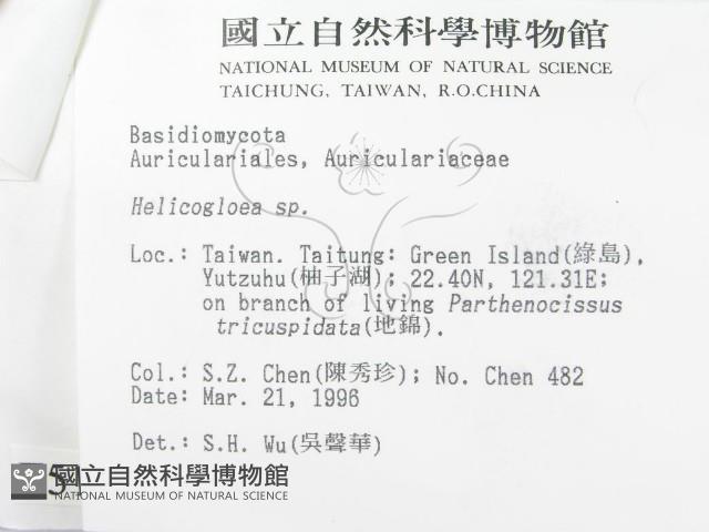 登錄號:F0005116藏品圖，第3張