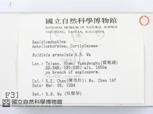 登錄號:F0003116藏品圖，第3張