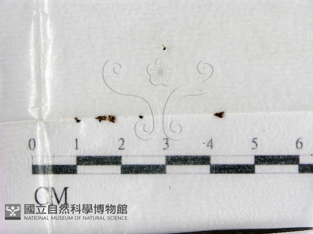 登錄號:F0003016藏品圖，第1張