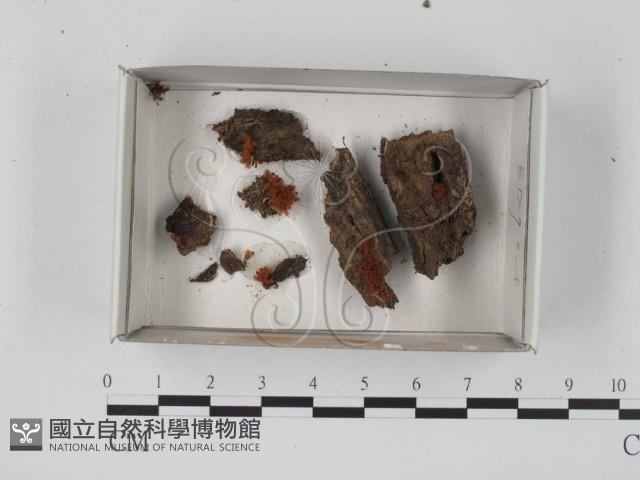 登錄號:F0018316藏品圖，第1張