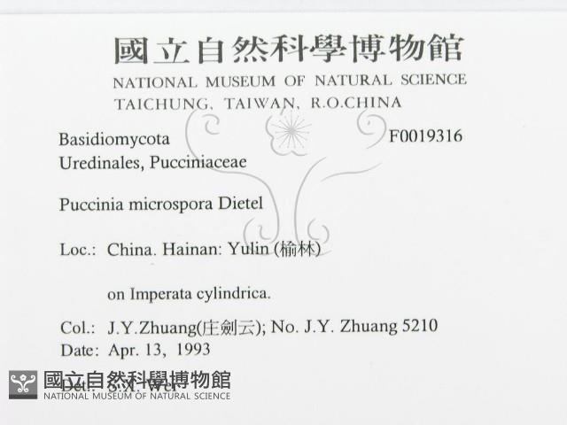 登錄號:F0019316藏品圖，第3張