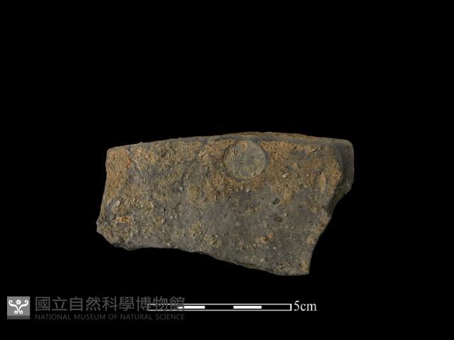 陶片藏品圖，第2張