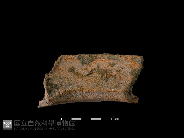 陶罐藏品圖，第1張