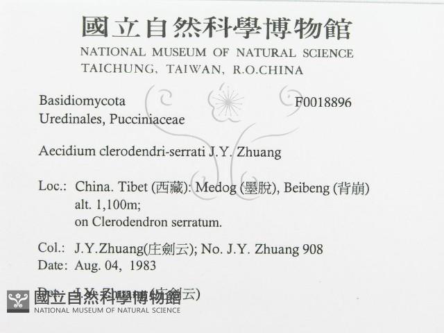 登錄號:F0018896藏品圖，第3張