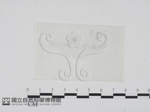 登錄號:F0016896藏品圖，第1張