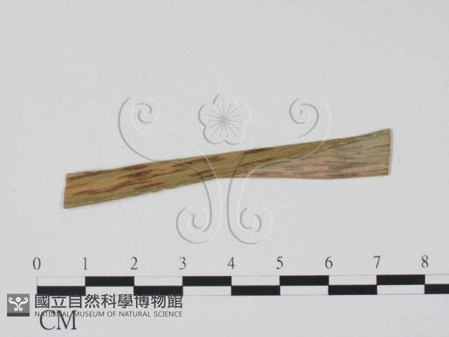 登錄號:F0011896藏品圖，第1張