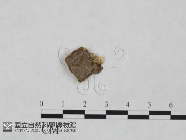 登錄號:F0024896藏品圖，第1張