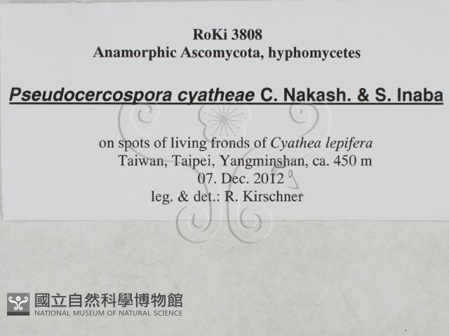 登錄號:F0027896藏品圖，第3張