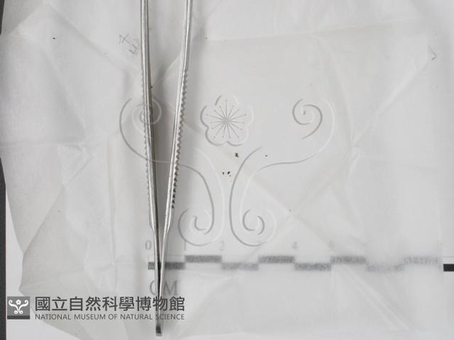 登錄號:F0017896藏品圖，第1張