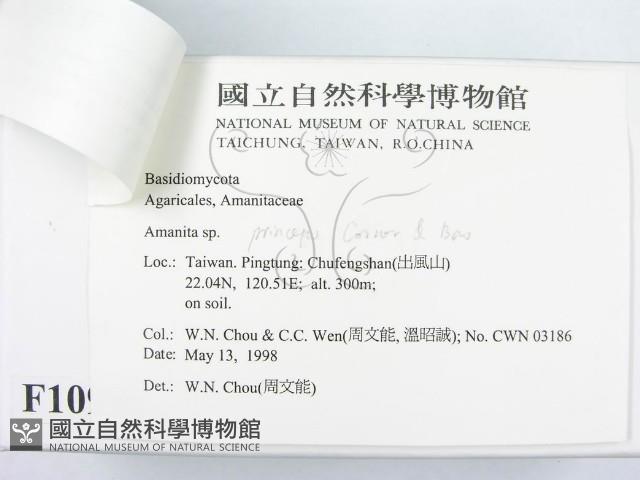 登錄號:F0010996藏品圖，第3張