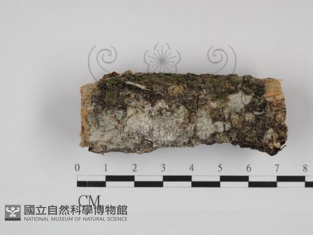 登錄號:F0030996藏品圖，第1張