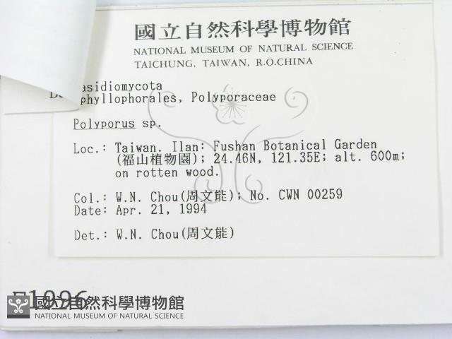 登錄號:F0001996藏品圖，第3張