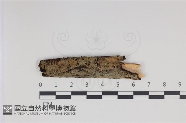登錄號:F0034996藏品圖，第1張