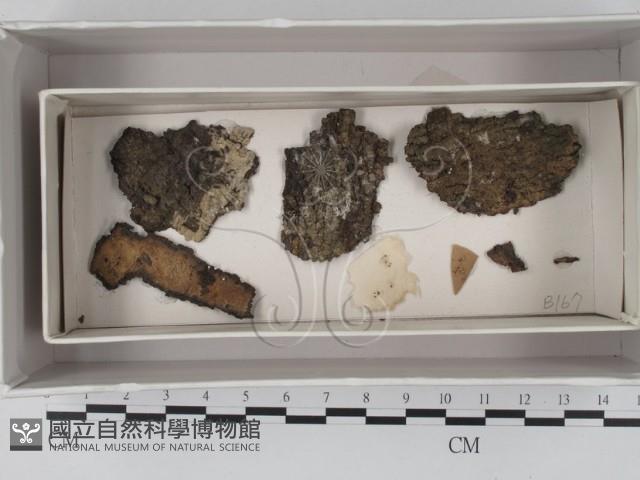 登錄號:F0017996藏品圖，第1張