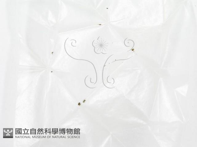 登錄號:F0000696藏品圖，第1張