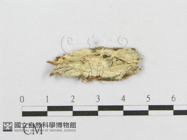 登錄號:F0016696藏品圖，第1張